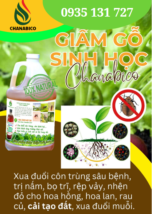 Giấm gỗ sinh học CHANABICO