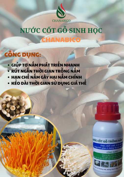 Nước cốt gỗ trồng nấm