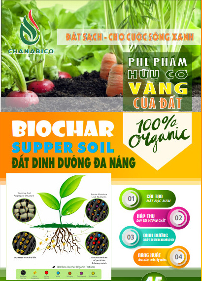 Đất hữu cơ vi sinh biochar, Những lợi ích lâu dài của đất biochar hữu cơ mang lại