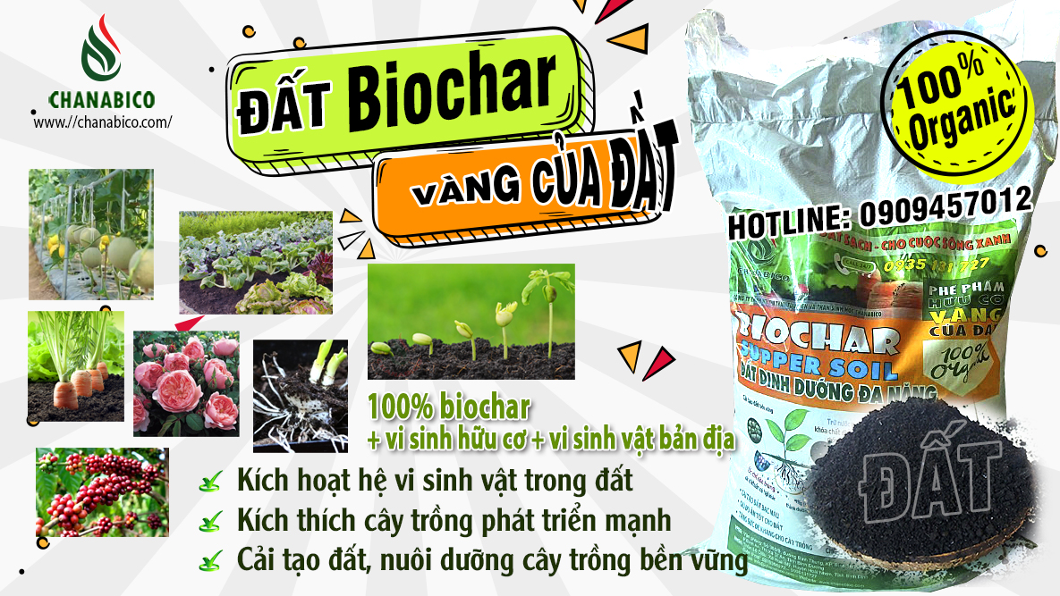 Phân bón hữu cơ đất biochar đa chức năng SIÊU PHẨM dành cho mọi cây trồng 