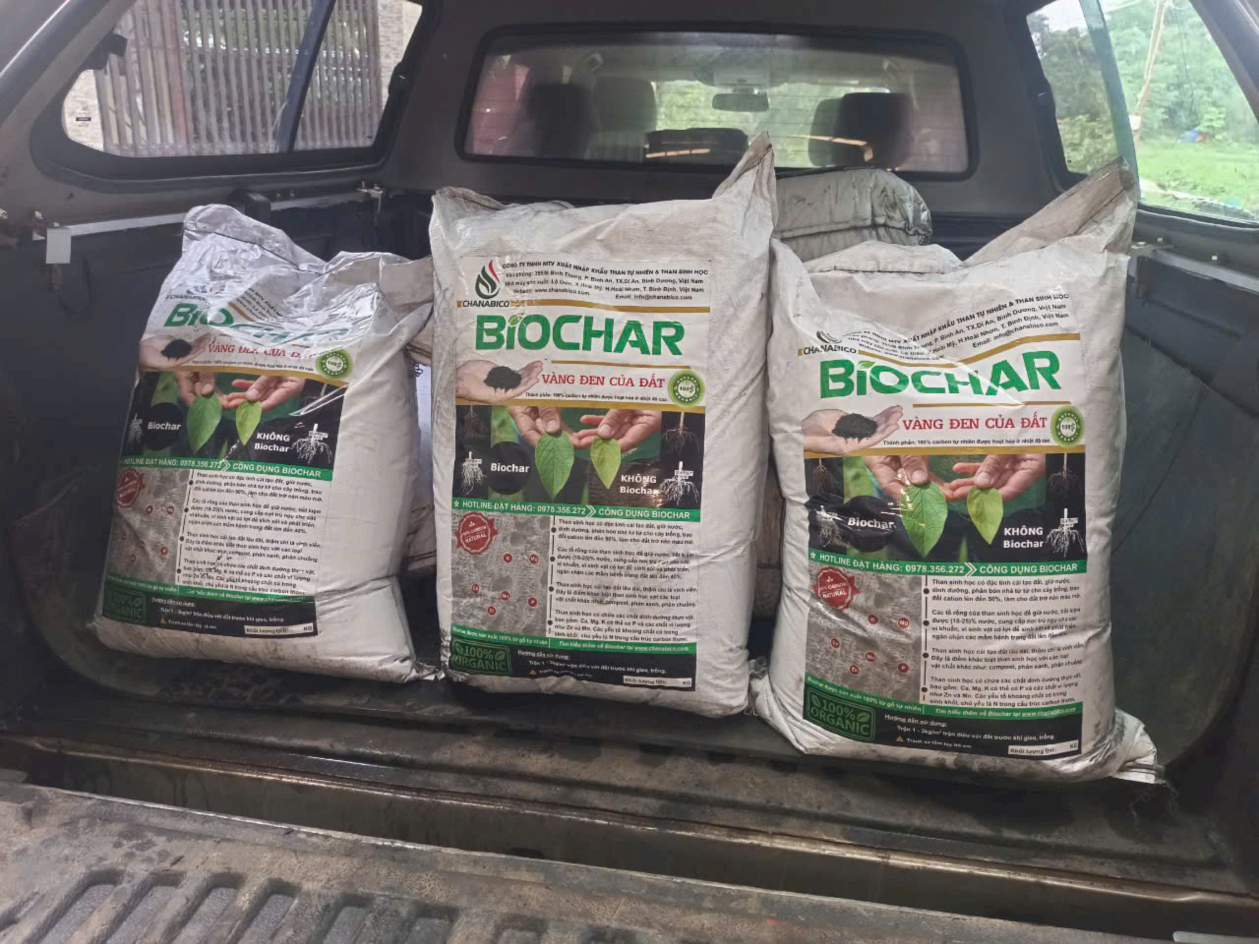 Biochar